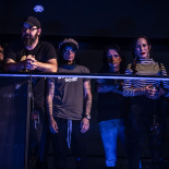 DOGSTAR (14)