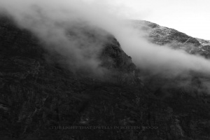 Atmosférické soboty: FALLS OF RAUROS – „The Light That Dwells In Rotten Wood“